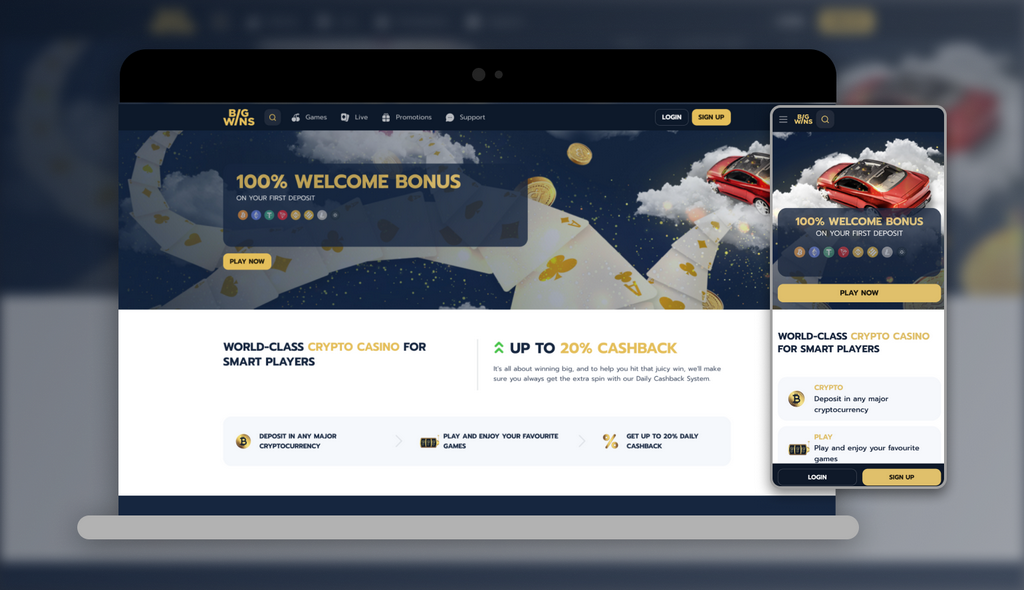 Bigwins Online Casino Testimonial: Complete Review in 2025