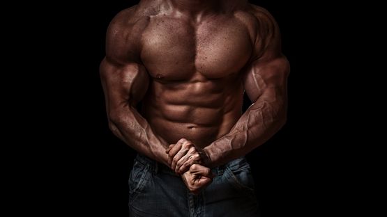 Synthol aplicación: Todo lo que necesitas saber Synthol aplicación: Todo lo que necesitas saber