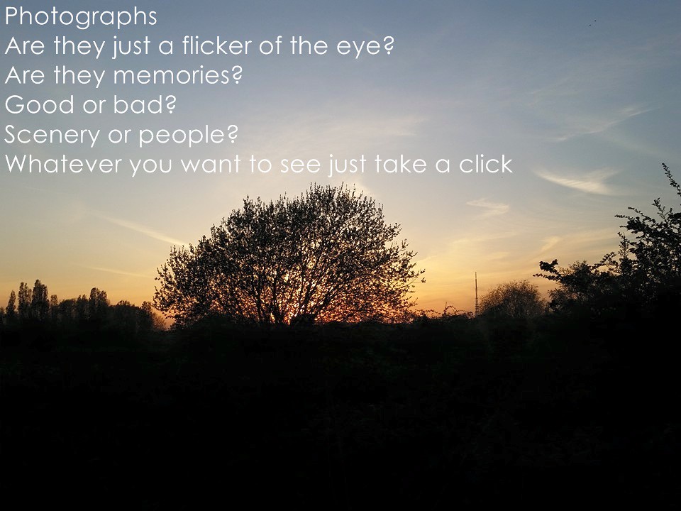 Laugh, Learn, and Connect with QuotePoem 6