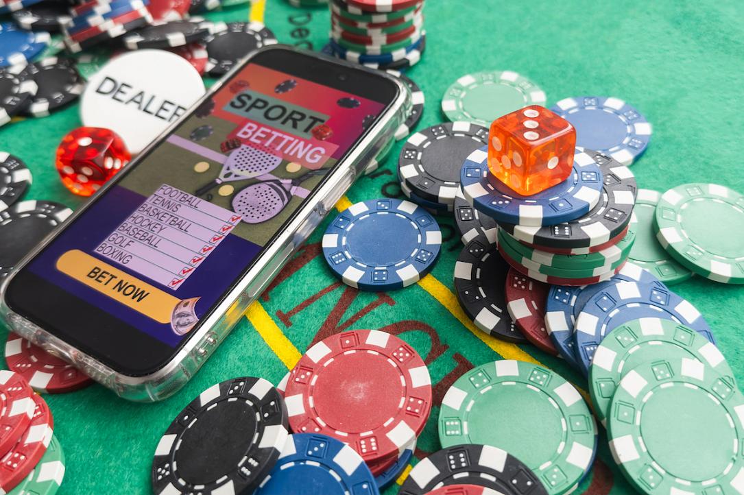 Best betting strategies for horse 24