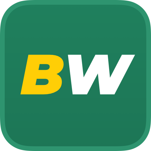 Ultimate Guide to Online Sports Betting BetWinner 14