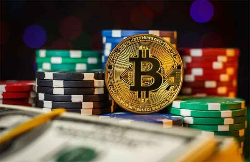 Where to Bet on Table 11 Where to Bet on Table 11