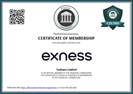 How to Download Exness MT5 A Complete Guide How to Download Exness MT5 A Complete Guide